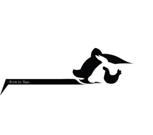 Logo Warre Transport